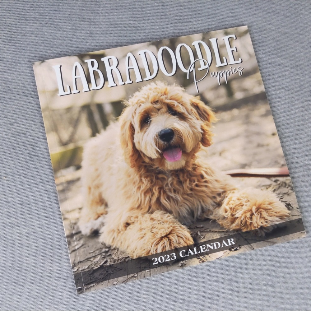 FREE 🎁: Labradoodle Puppies 2023 Calendar